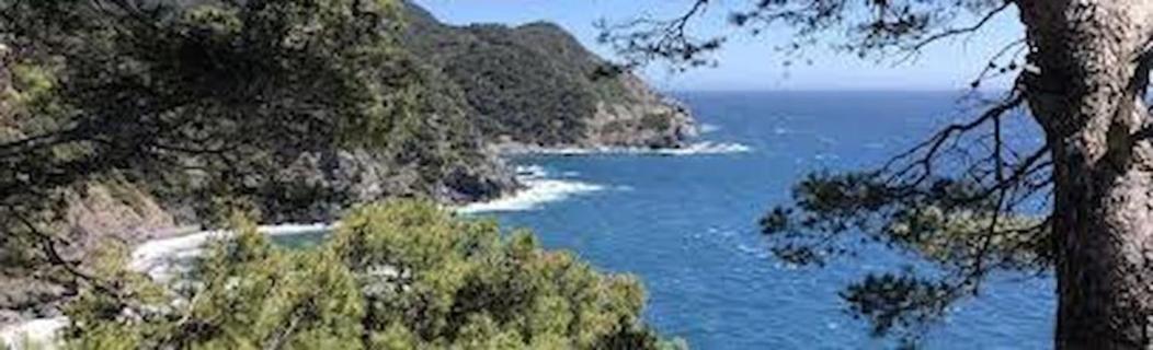 La Brise Du Brusc * Six-Fours-les-Plages