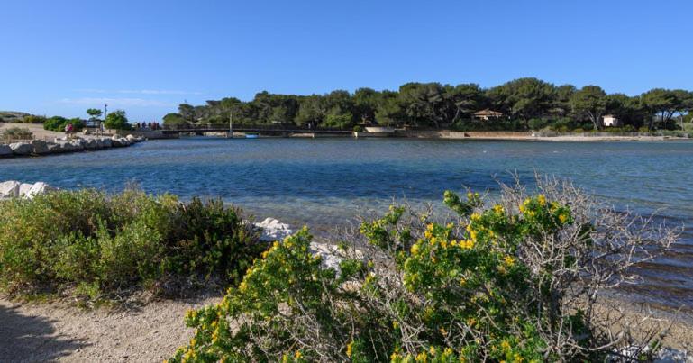 La Brise Du Brusc Six-Fours-les-Plages