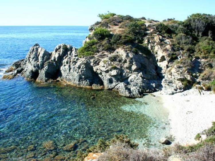La Brise Du Brusc *