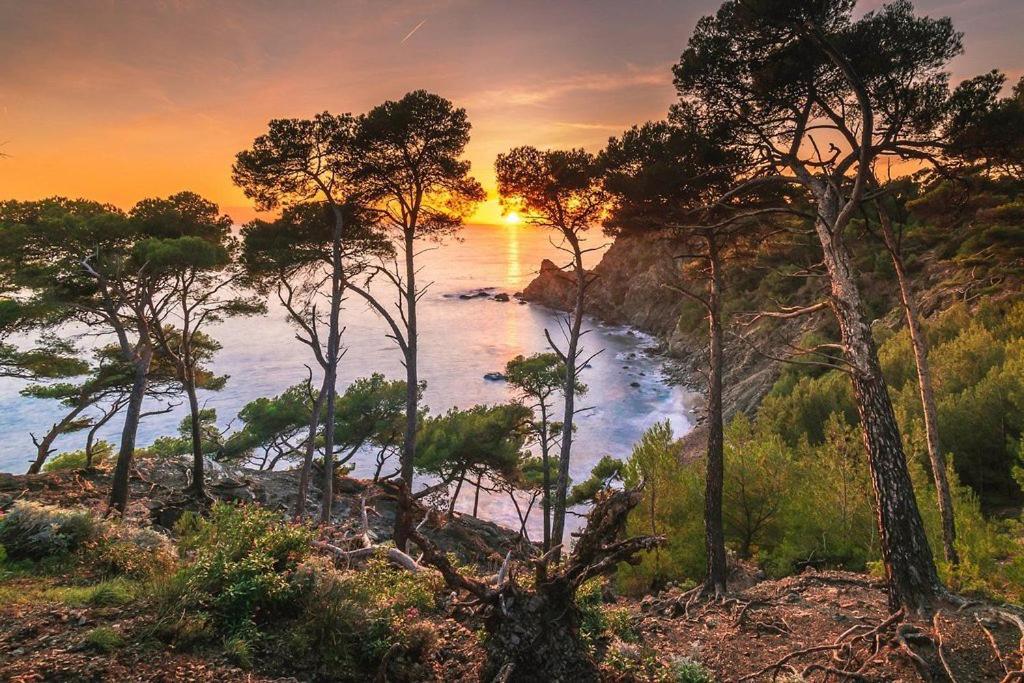 La Brise Du Brusc * Six-Fours-les-Plages